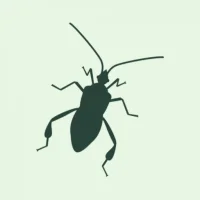 Forest pests